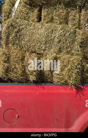 Örtliche Freiwillige Feuerwehr Unternehmen Spenden durch was liebevoll bekannt als Schlamm Verkäufe gekommen. Stockfoto