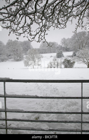 Eine schneebedeckte Tor mit Weide hinaus, Surrey, England. Stockfoto