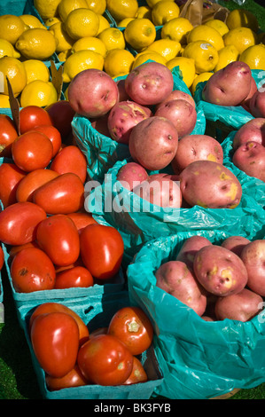 Örtliche Freiwillige Feuerwehr Unternehmen Spenden durch was liebevoll bekannt als Schlamm Verkäufe gekommen. Stockfoto