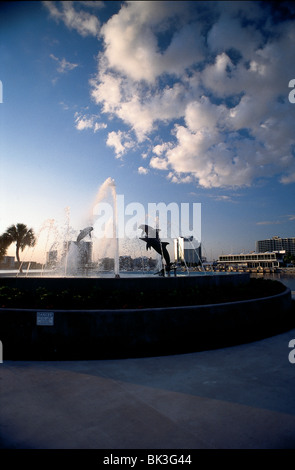 Delphinbrunnen im Bayfront Park, Sarasota, Florida Stockfoto