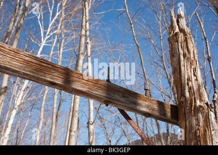 Crawford Notch State Park - alte Telefonmasten entlang der alten Maine Central Railroad in den White Mountains, New Hampshire, USA Stockfoto