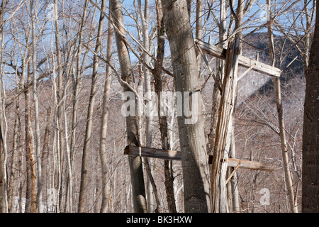 Crawford Notch State Park - alte Telefonmasten entlang der alten Maine Central Railroad in den White Mountains, New Hampshire, USA Stockfoto