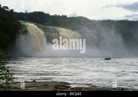 Die Carrao Fluss Kaskaden über Hacha Fälle mit brauner Färbung des Wassers aus Gerbstoffe ausgelaugt aus umliegenden Wäldern Stockfoto