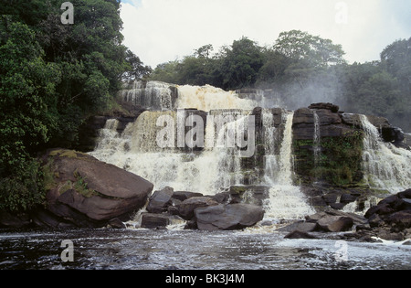 Die Carrao Fluss Kaskaden über Hacha Fälle mit brauner Färbung des Wassers aus Gerbstoffe ausgelaugt aus umliegenden Wäldern Stockfoto