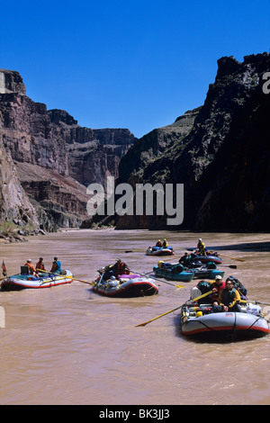 Rafting auf dem Colorado River durch Granite Gorge in den Grand Canyon, Grand Canyon Nationalpark in Arizona. Stockfoto