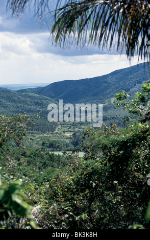 Ländliches Motiv in der Nähe der Las Terrazas Tourismus Komplex in Pinar del RÌo Provinz, Kuba Stockfoto