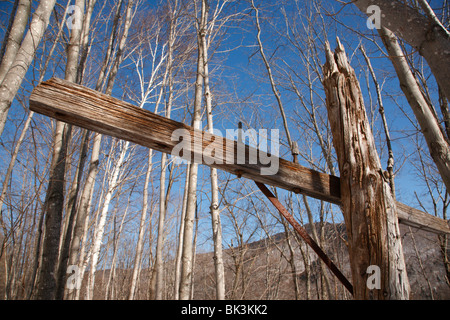 Crawford Notch State Park - alte Telefonmasten entlang der alten Maine Central Railroad in den White Mountains, New Hampshire, USA Stockfoto