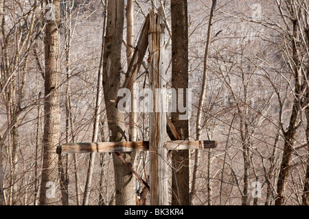 Crawford Notch State Park - alte Telefonmasten entlang der alten Maine Central Railroad in den White Mountains, New Hampshire, USA Stockfoto