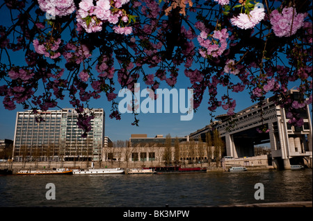 Paris, Frankreich, Stadtbild, Bürogebäude, Bercy, Finanzminister, auf der seine am Quai de la Rapée, Frühlingsblumen, ministerium für französische Wirtschaft Stockfoto