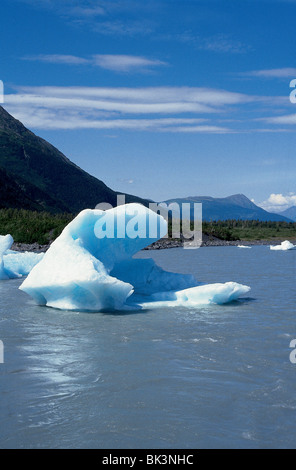 Eisberge in Portage Glacier Lake, Alaska Stockfoto