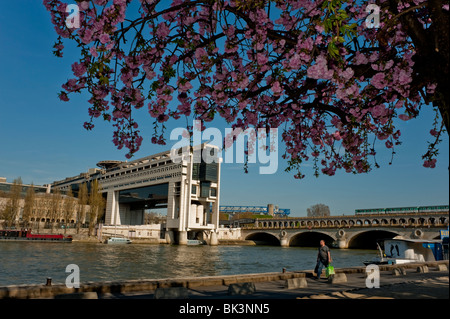 Paris, Frankreich, Stadtbild, Bürogebäude, Finanzminister, auf der seine am Quai de la Rapée, Frühlingsblumen, französische Regierung, ministerium für französische Wirtschaft, seine Promenade grün Stockfoto