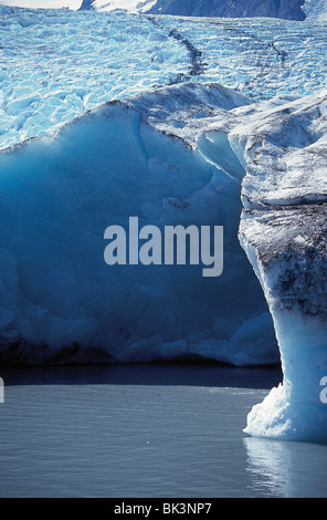 Nahaufnahme der nordamerikanischen Gletscherlandschaft des Portage Glacier in der Nähe des Wasserrands auf der Kenai-Halbinsel im Bundesstaat Alaska, USA Stockfoto