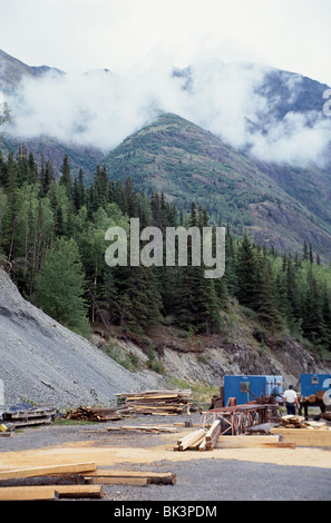 Freiluftsägewerk im Kenai Peninsula Borough bei Cooper Landing, Alaska Stockfoto