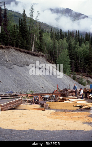 Freiluftsägewerk im Kenai Peninsula Borough bei Cooper Landing, Alaska Stockfoto