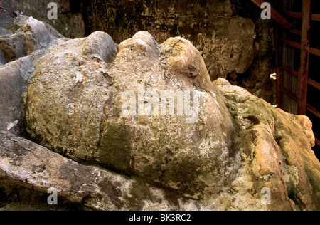 Ruinen einer alten Maya-Kolossalskulptur im Maskentempel an der historischen mesoamerikanischen archäologischen Stätte Lamanai in Belize, Mittelamerika Stockfoto