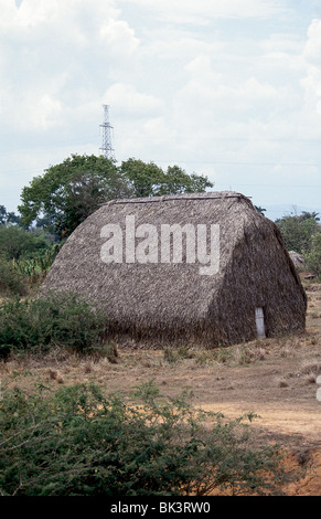 Casa de Tabaco (Haus des Tabaks) wo geerntete Tabak trocken, schneidet Vinales Tal in Pinar del RÌo Provinz, Kuba Stockfoto