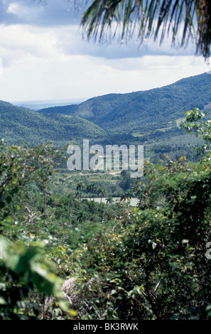 Ländliches Motiv in der Nähe der Las Terrazas Tourismus Komplex in Pinar del RÌo Provinz, Kuba Stockfoto