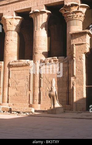 Eine alte ägyptische archäologische Stätte zeigt Spalten Hauptstädte Basentlastung Skulptur & eine Statue der ägyptische Gott Horus Stockfoto