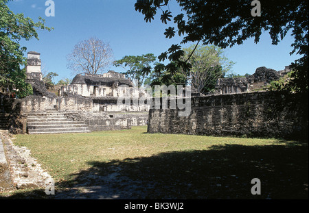 Maya-Ruinen der präkolumbianischen Maya-Zivilisation im Petén-Becken in der antiken Stadt Tikal, Guatemala. Stockfoto