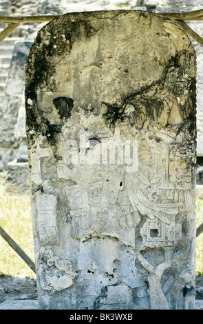 Maya-Stele in der antiken Stadt und Maya-Ruinen von Tikal, Guatemala Stockfoto
