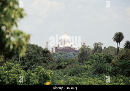 Ein entfernter Blick auf das elfenbeinweiße Marmor Mausoleum Taj Mahal umgeben von üppiger Vegetation und Gärten in Agra, Indien Stockfoto