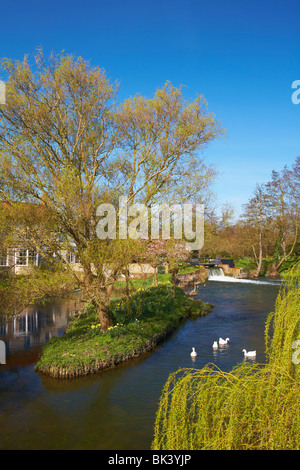 Great Britain England Suffolk Essex Grenzen Boxted Mühle Fluss Stour Valley Stockfoto