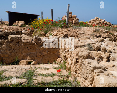 Ruinen von Paphos archäologische Park, Zypern Europa Stockfoto