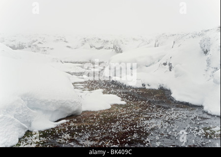 Stream auf Bleaklow im Schnee. Peak District, Derbyshire, UK Stockfoto