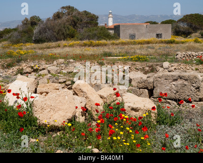 Europäischen archäologischen Park, Zypern Paphos Stockfoto