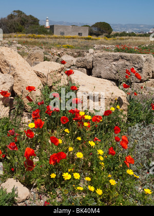 Europäischen archäologischen Park, Zypern Paphos Stockfoto