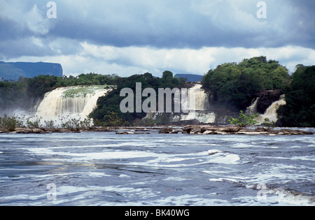 Die Carrao Fluss Kaskaden über Hacha Fälle mit brauner Färbung des Wassers aus Gerbstoffe ausgelaugt aus umliegenden Wäldern Stockfoto