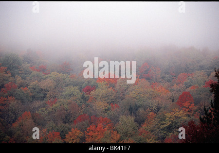 Nebel über den grünen Bergen von Vermont, United States Stockfoto