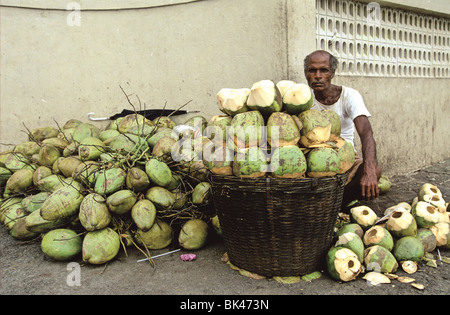 Kokoswasserverkäufer in Mumbai, Indien Stockfoto