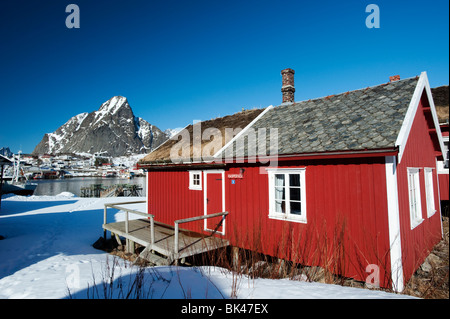 Traditionellen roten Holz Rorbu Fischerhütte im Dorf der Reine auf Lofoten in Norwegen Stockfoto