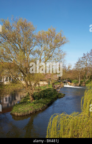 Great Britain England Suffolk Essex Grenzen Boxted Mühle Fluss Stour Valley Frühling Stockfoto