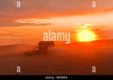 John Deere Mähdrescher erntet weiche weiße Weizen auf den Hügeln der Palouse Region Eastern Washington bei Sonnenuntergang Stockfoto