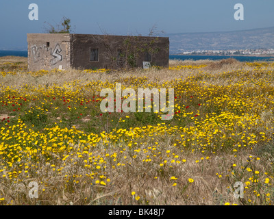 Ein altes Gebäude, umgeben von hübschen Frühlingsblumen auf dem Gelände des archäologischen Parks Pafos Europas Stockfoto