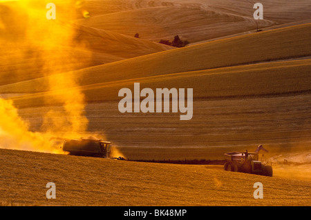 John Deere Mähdrescher erntet weiche weiße Weizen auf den Hügeln der Palouse Region Eastern Washington bei Sonnenuntergang Stockfoto