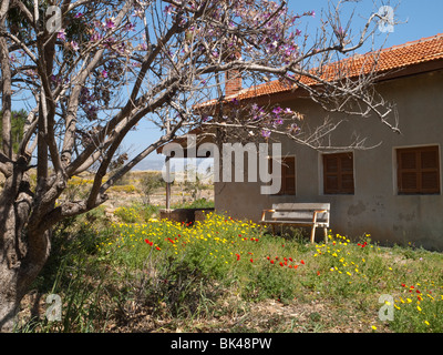 Eine alte auf dem Gelände des archäologischen Parks Pafos Europas Stockfoto