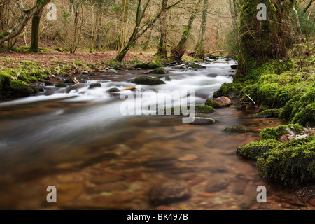 Eine Fläche von Muschel Wasser mit einem Teil des schnell fließenden Gewässern jenseits in der Hauptfluss des Horner Wasser auf Exmoor. Stockfoto