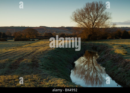 Morgendämmerung über der Meads, in der Nähe von Bridgwater, Somerset an einem frostigen Morgen. Ein Baum spiegelt sich im Durleigh Bach. Stockfoto