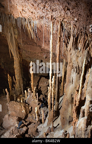 Stalaktiten und Stalagmiten in Natural Bridge Caverns Texas USA Stockfoto