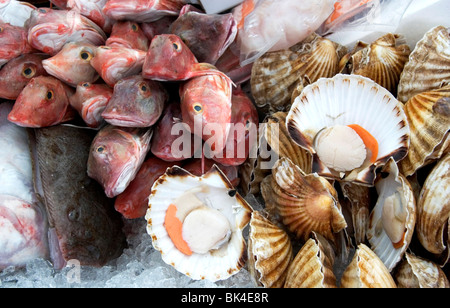 Frischen Fisch und Schalentiere zum Verkauf an Kingsbridge Farmers Market South Hams, Devon Stockfoto