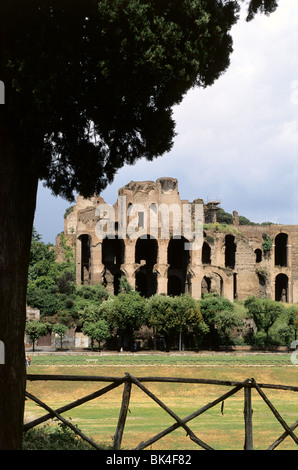 Ruinen des Circus Maximus in Rom, Italien Stockfoto