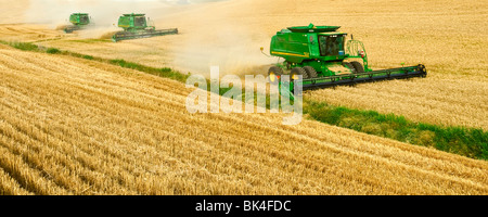 Drei John Deere Mähdrescher Ernte weiße Weichweizen in der Palouse Region des östlichen Washingtion Stockfoto