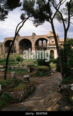 Basilika des Maxentius im Hintergrund, Rom Forum Romanum Stockfoto