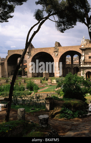 Basilika des Maxentius, Rom Stockfoto