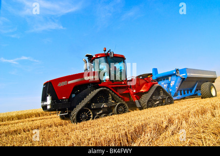 Ein Fall Quad-Trac Traktor ziehen einen Korn-Karren auf den Hügeln von einem Weizenfeld bei der Ernte in der Palouse Region Washington Stockfoto