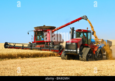 Ein Mähdrescher beim Ernten von Weizen wird Getreide in ein Korn-Cart unterwegs in der Palouse Region Washington Stockfoto