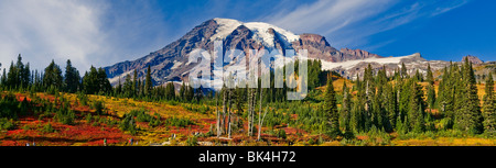 Mount Rainier im Herbst im Bereich Paradies Mount Rainer Nationalpark, Washington, USA Stockfoto